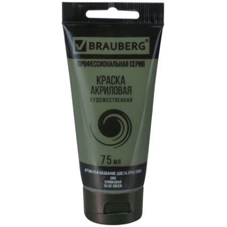    BRAUBERG ART 