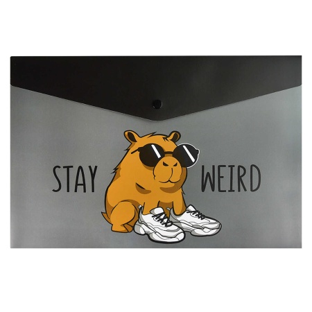 ����� ��� �������� �������� ����������� ������+, ���. / 12 ������ �������� (������������, ������ �4,