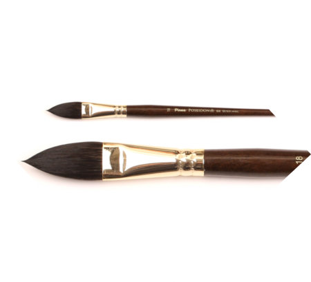  Pinax POSEIDON     N 10